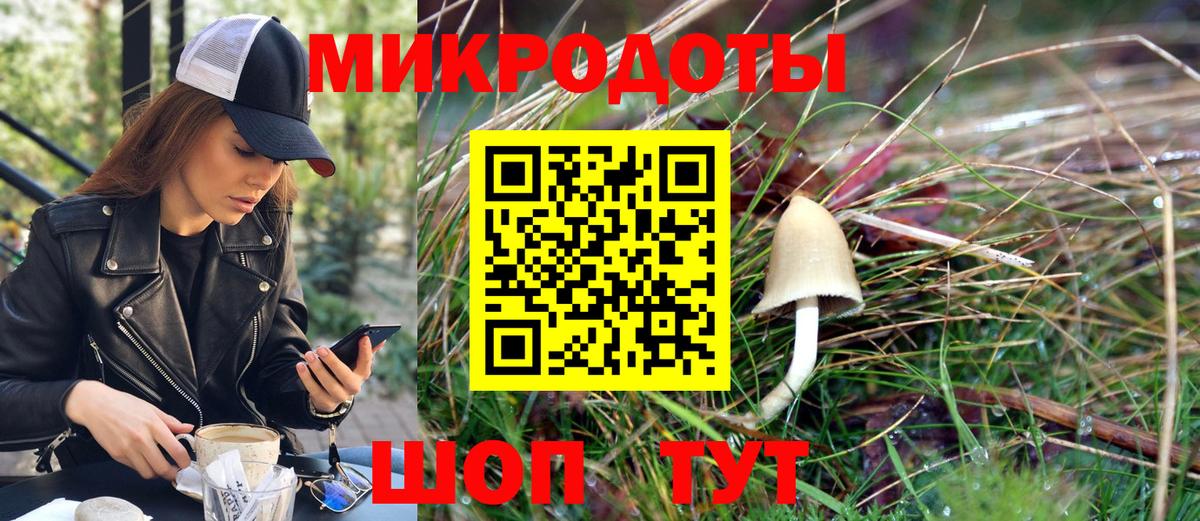 Псилоцибиновые грибы мицелий  Вход с VPN  Псилоцибиновые грибы Magic Shrooms  Каменка 